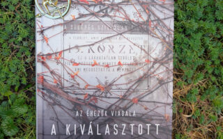 A kiválasztott könyvborító