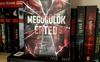 Megőrülök érted könyvborító