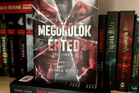 Megőrülök érted könyvborító