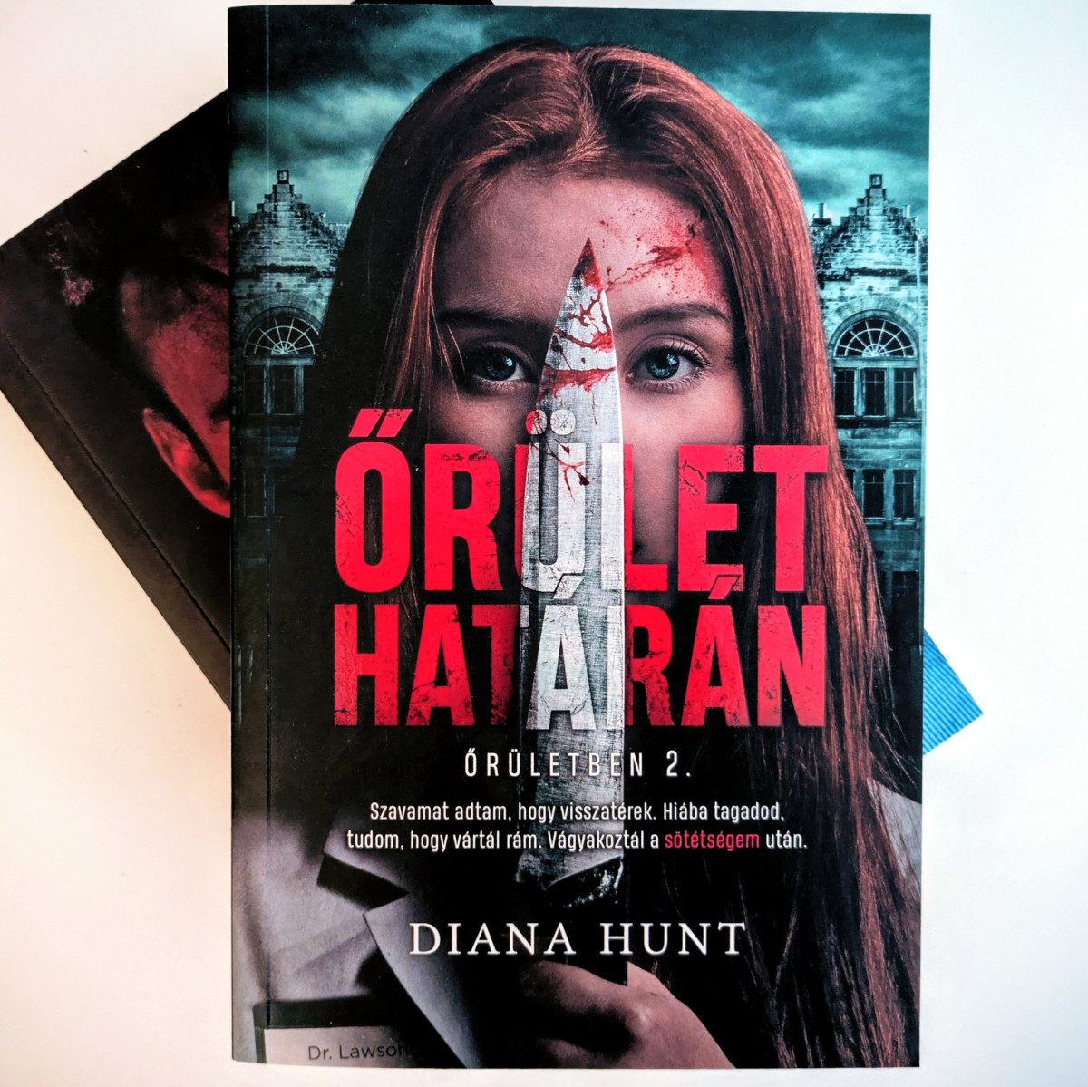 Őrület határán könyvborító