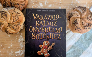 Varázslókalauz önvédelmi sütéshez könyvborító