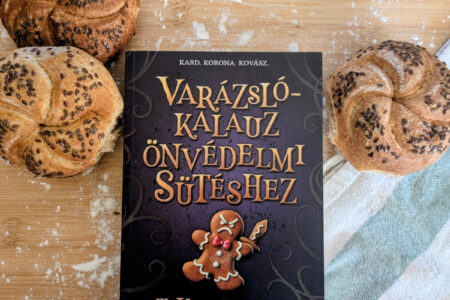 Varázslókalauz önvédelmi sütéshez könyvborító